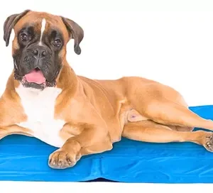 Tapete Colchão Refrescante Gelado Térmico Para Pets Cães Gatos 65x50cm Pet Ringo